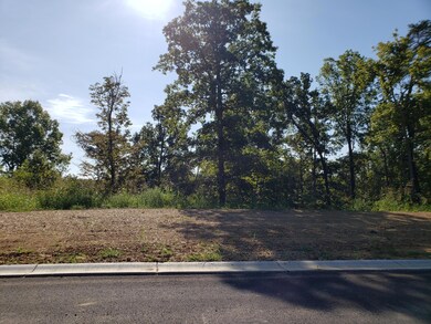 19 Kilner Goodlet Ct, Mount Washington, KY 40047 - photo 2