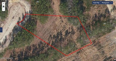 Lot 55