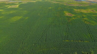 Tbd 428th Ave and 103rd St, Kidder, SD 57430 - photo 7