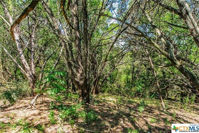 000 Little Mexico Rd, Temple, TX 76504 - photo 4