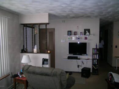Maple Road 013