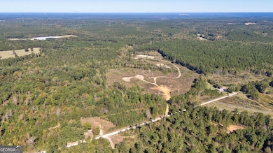 0 Bridges Rd, Carlton, GA 30627 - photo 5