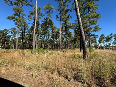 033 Pr 6026, Brookeland, TX 75931 - photo 2