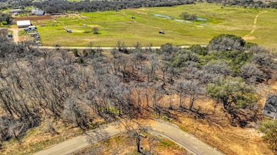 170 Hansma Way, Weatherford, TX 76087 - photo 4