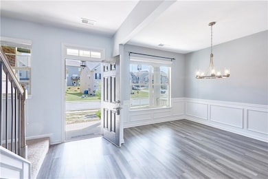 Foyer featuring a healthy amount of sunlight, dark