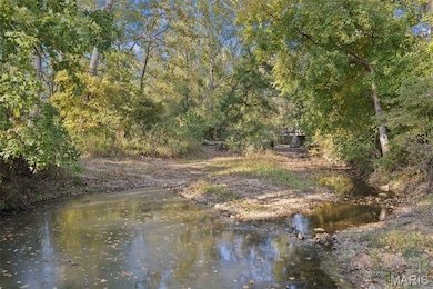 3012 Lewis Dr, Bloomsdale, MO 63627 - photo 3