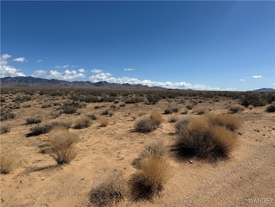 2.5 AC Bonita Dr, Dolan Springs, AZ 86441 - photo 3