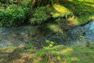 35xx Mountainview Rd, Chewelah, WA 99109 - photo 3