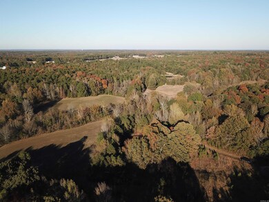 000 Greene Road 788, Paragould, AR 72450 - photo 2