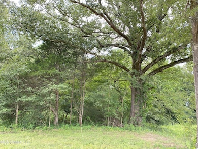 0 10 1 2 Acres Smith unit 4126758, Hernando, MS 38632 - photo 6