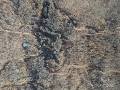 1098 Hyacinth Dr, Clyde, NC 28721 - photo 5