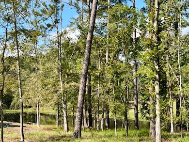 Your Back Deck View!