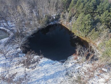 42485 Highway Bb, Dixon, MO 65459 - photo 5