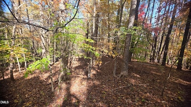 0 Krafft Corner unit 10130210, Kittrell, NC 27544 - photo 4