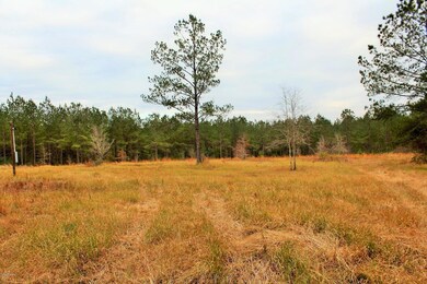 28.70 Cooks Corner, Lucedale, MS 39452 - photo 2