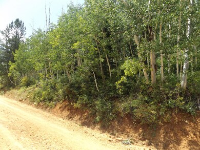 462 W Ski View Dr unit 8, Brian Head, UT 84719 - photo 4