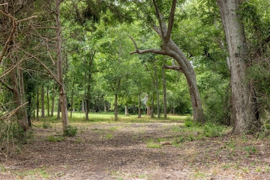 000 Ives Creek Rd, Bellville, TX 77418 - photo 3
