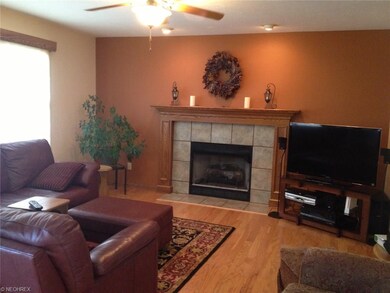 24080 Briar Patch Dr, Olmsted Falls, OH 44138 - photo 6