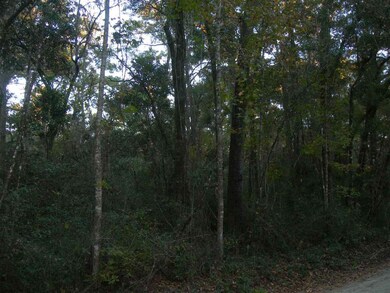 xx Neeley Rd unit x, Crawfordville, FL 32327 - photo 7