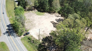 000 U S 79, Pine Bluff, AR 71603 - photo 2