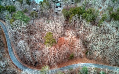 Additional View