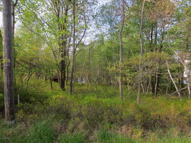 781 English Ivy Ct, Long Pond, PA 18334 - photo 2