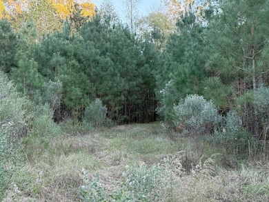 225 Frost Ln, Bude, MS 39630 - photo 6