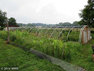 3435 Stoney Creek Rd, Edinburg, VA 22824 - photo 6