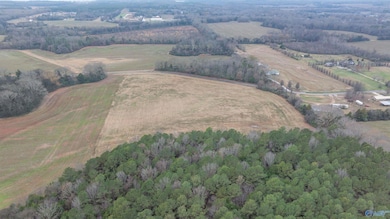 26 Acres Cooper Ln, Rogersville, AL 35652 - photo 3