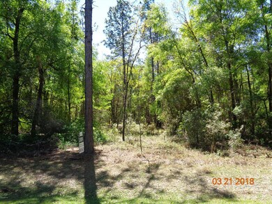 0 SW 95th St unit OM533598, Dunnellon, FL 34431 - photo 3