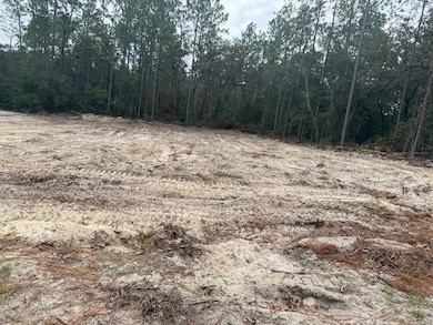 0 SW 66th Ave, Ocala, FL 34476 - photo 3