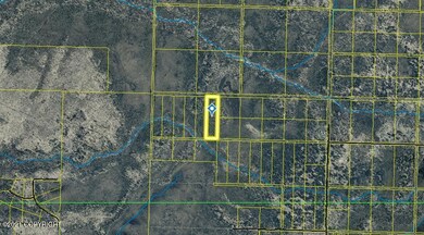 Tr6 Tomski, Anchor Point, AK 99556 - photo 2