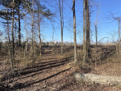 0 Ozan A unit 24032571, Ozan, AR 71855 - photo 3