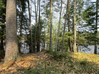 Pine Point 8