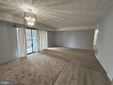 3810 Laramie Place unit D, Alexandria, VA 22309 - photo 5