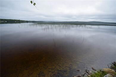Madagascal Pond