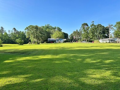 833 Smallee St, Alma, GA 31510 - photo 5