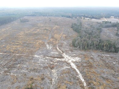 17.25 Acres Goat Hill Rd, Samson, AL 36477 - photo 4