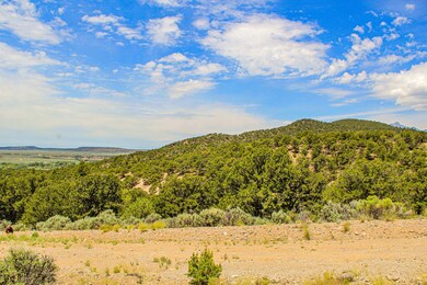 0 Alexandre unit 25553701, Fort Garland, CO 81133 - photo 5