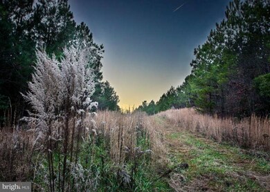 12700 New Chapel Rd, Spotsylvania, VA 22551 - photo 5