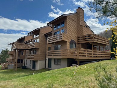 158 Hunter Dr unit U3, Hunter, NY 12442 - photo 6