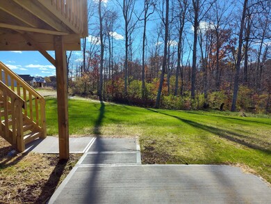 View from basement walkout