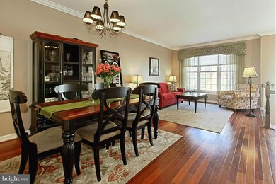 3641 Ransom Place, Alexandria, VA 22306 - photo 5