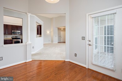 5305 Wyndholme Cir unit 403, Baltimore, MD 21229 - photo 4