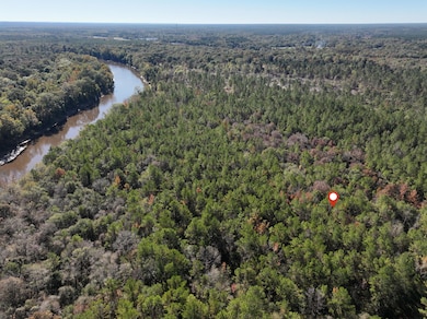 Old_Hwy_24_W_Lot_35-3