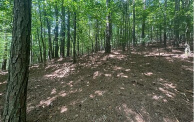 Additional View