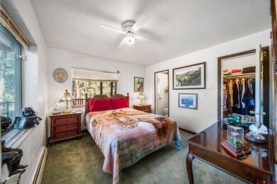 900 Spring Rd, Durango, CO 81303 - photo 5
