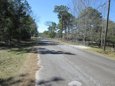 1748 E Fletcher St, Hernando, FL 34442 - photo 6