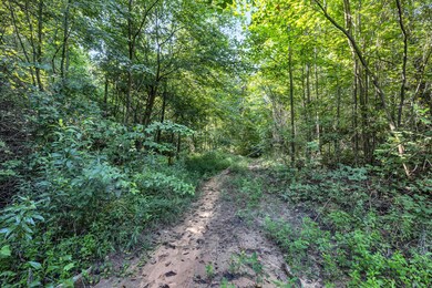 158.37 Acres | Williams Rd