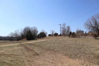 TBD Byron Rd, Salem, AR 72576 - photo 7